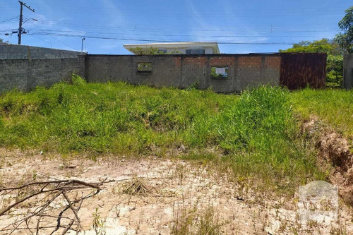 Imagem 8 de 10 de Lote À Venda No Bandeirantes - Código 278049 - 278049