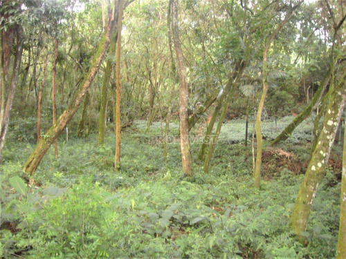 Imagem 4 de 11 de Terreno À Venda, 1472 M² 0 - Granja Viana - Carapicuíba/sp - Te9125