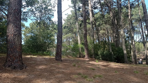 Venta Lotes Arroyo El Potrero- Punta Ballena (ref: Atm-2416)