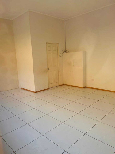Locales Comerciales En Arriendo Curicó (91260)