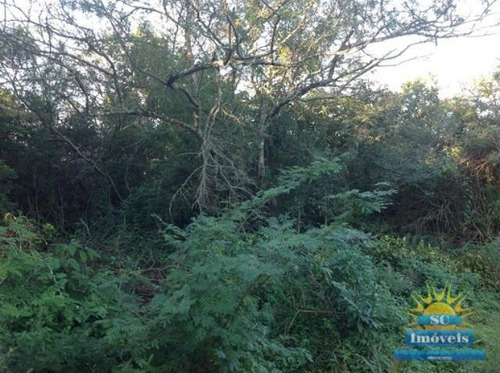 Imagem 6 de 8 de Terreno No Bairro Ingleses Em Florianópolis Sc - 13627