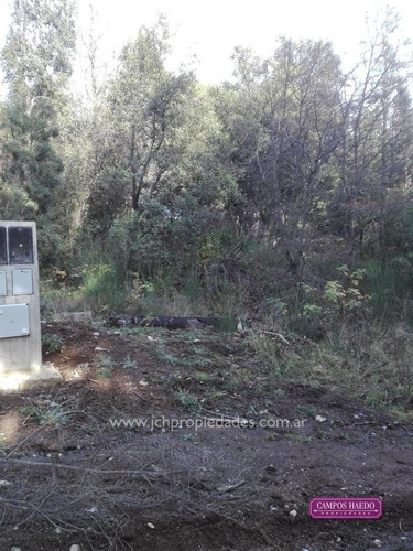 Imagen 8 de 14 de Lotes Comerciales En El Mercado - Villa La Angostura