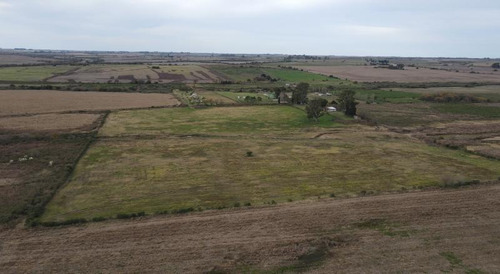 Imagen 6 de 10 de Campo De 9 Has En Distrito Corrales, Excelente Ubicacion