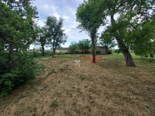 Imagen 25 de 30 de Venta De Campo De 21 Has Entre Jeppener Y Ranchos