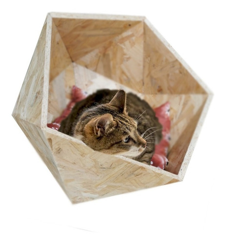 Casa Cama Geométrica De Madera Osb Para Gato Perro Miniatura