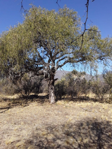 Imagen 17 de 17 de Chacra Rural Con Galpon