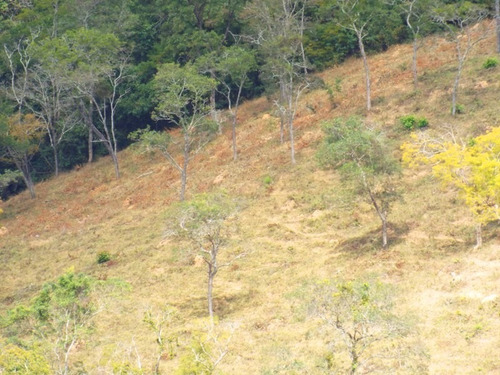 Oportunidade Terreno - 2148