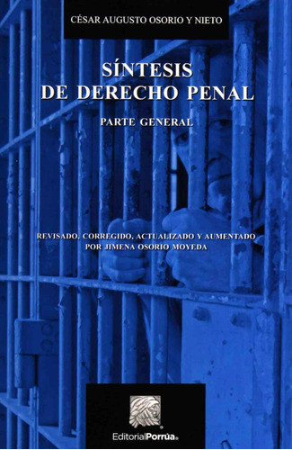 Libro Síntesis De Derecho Penal