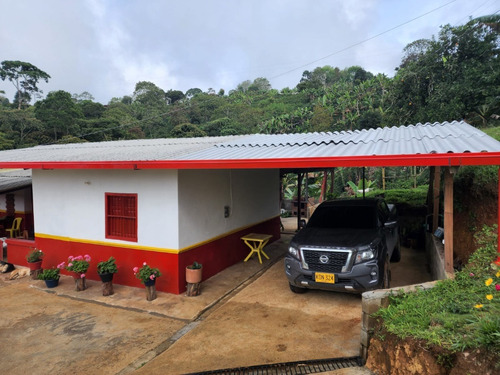 Imagen 11 de 20 de Venta De Finca Cafetera En Jericó Antioquia