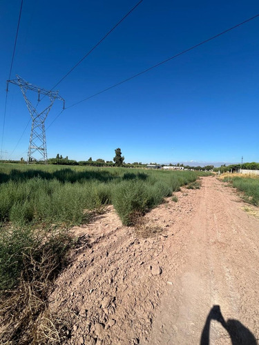 Finca En Venta En Colonia Segovia. 7,5 Has