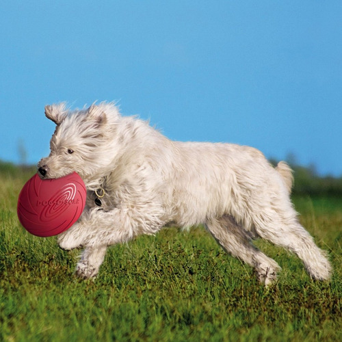 Frisbee Juguete De Goma Bestia Peluda Flotante Para Perros