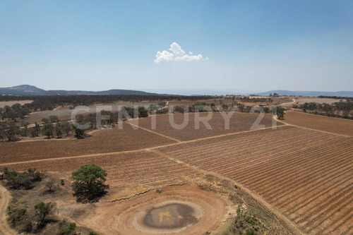 En Venta!!! Terreno Ubicado En Josefino De Allende, Jalisco.