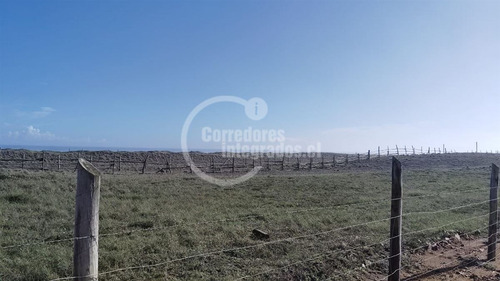 Sitios 5.000m2, Prim. Y Seg. Linea En Tregualemu, Pelluhue