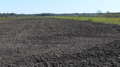 Imagem 3 de 13 de Fazenda 10600 Hectares, Acesso Asfaltado, Rica Em Água Com Lago, Planta 6000 Hectares, Topografia Plana, Casas Sede E Caseiro, Curral, Barracão - Fa00252 - 70762252