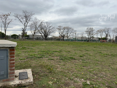 Lote Perimetral #200-300 - Pilar Del Este - Santa Lucia - 567m2 #id 17877