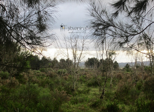 Campo En Venta En Cuchilla Alta Canelones De 21 Hectáreas Ref. Y 150