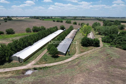 Imagen 9 de 15 de Terreno Campo En Venta - General Rodriguez - G.b.a. Zona Oeste