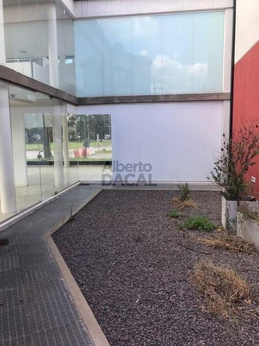 Local - La Plata