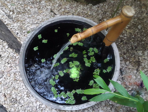 Fuente De Bambú Completa Con Paila Y Bomba De Agua