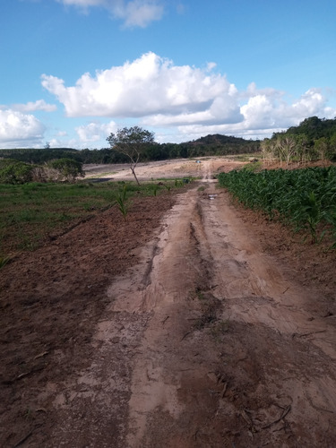 Área De Terra Com 12 Tarefas
