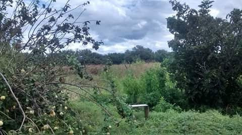 Fabrica De Dulces Con Finca Importante