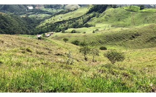 Se Vende Finca Naranjal - Roldanillo