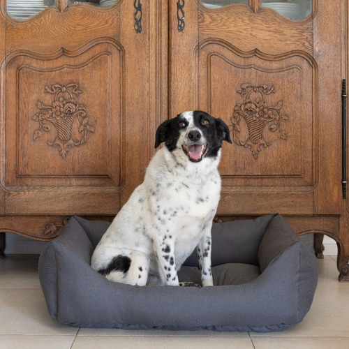Imagen 2 de 5 de Cama Cucha Para Perro O Gato Lola Pets Soho Grande