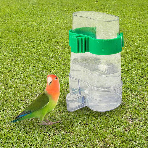Dispensador De Agua Para Pájaros, Hervidor De Agua Con Drena