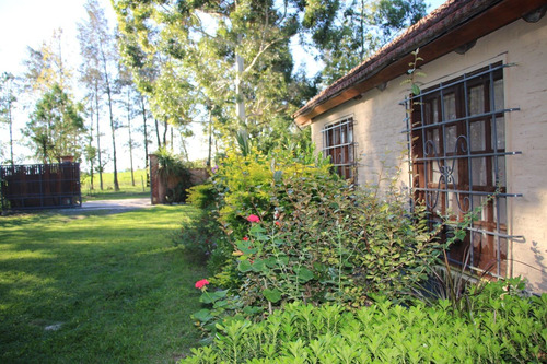 Imagen 3 de 14 de Casa Quinta Con Pileta Cabanas