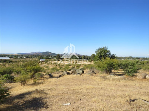 Imagen 21 de 24 de Agrícola En Venta En Maule