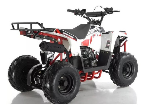 Cuatrimoto 110cc Niño 4 Tiempos Gasolina Plr