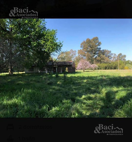 Chacra - Canning (ezeiza)