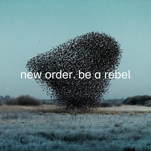 New Order Be A Rebel Usa Import Lp Vinilo Nuevo