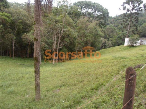 Imagem 4 de 12 de Área À Venda, Potuverá, Itapecerica Da Serra/sp - 4179