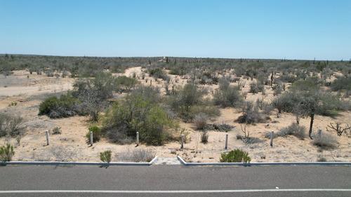Km 43, El Mezquite De Don Dominguez