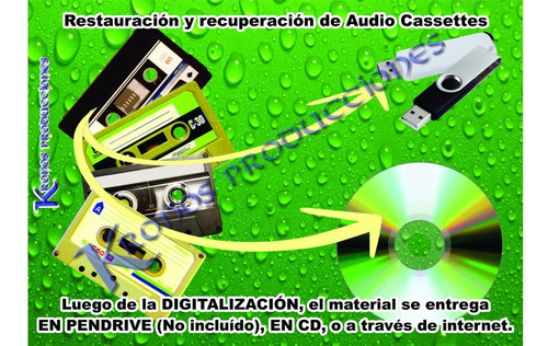 Restauración Recuperación Audio Cassettes (incluye Respaldo)