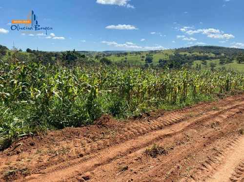 Imagem 3 de 13 de Chácaras À Venda, De 3.000 À 8.000 M² Média De R$ 70.000 - Zona Rural - Abadiânia/go - Ch0106
