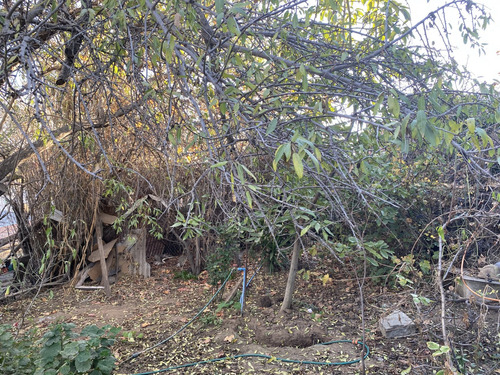 Propiedad 774 M2 Terreno, Las Rosas