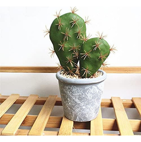 Hinyoco 6 Piezas De Cactus Artificiales, Arreglo De Flores,