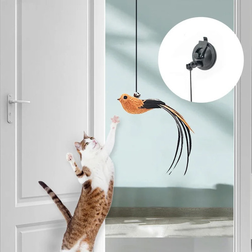 J 1 Pieza De Juguetes Para Gatos, Divertido Pavo