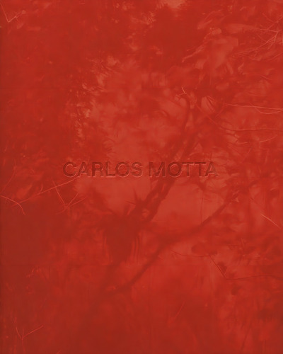 Carlos Motta: Marcenaria, Arquitetura E Design, De Carlos Motta (), Bruno Torturra (), & 1 Mais. Editorial Ubu Editora; 1a Edição, Capa Dura Em Português, 2024