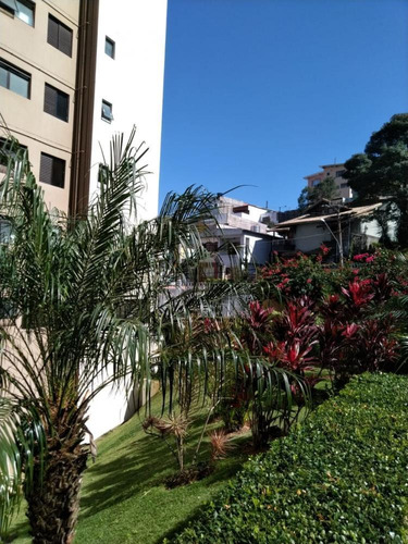Imagem 1 de 16 de Apartamento Com 03 Dormitórios E 67 M² | Vila Santos , São Paulo | Sp - Ap443580v
