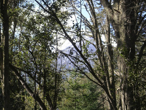 Venta Lote Villa La Angostura