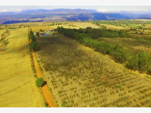 Imagen 1 de 6 de Terreno En Venta Terrenos Huasca Servicios 24 Msi No Ejido