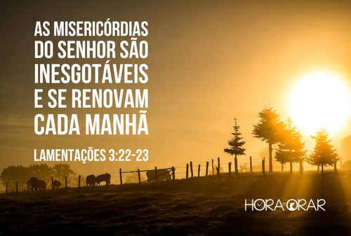 Livro Devocional Diário: As Misericórdias Do Senhor Renovam-se A Cada Manhã - Paul David Tripp - Editora Peregrino