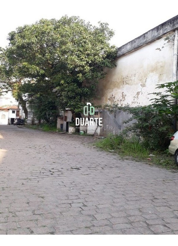 Imagem 7 de 12 de Terreno - Te00062 - 69901040