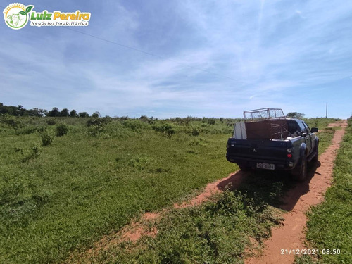 Imagem 8 de 8 de Fazenda À Venda De São Gabriel Do Oeste Ms - 554 Hectares (dupla Aptidão) - 2126