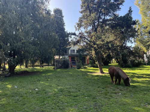 Imagen 4 de 12 de Venta Terreno De 11.000 M2 - Trujui - Moreno