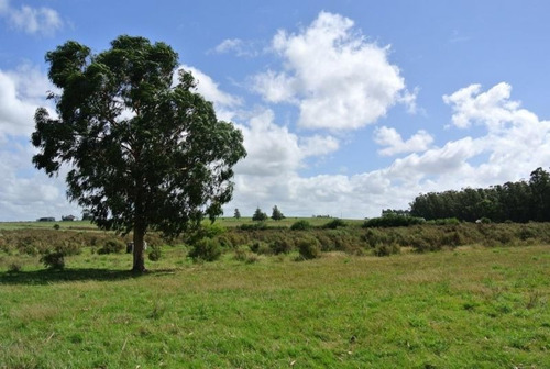 Campo En Venta