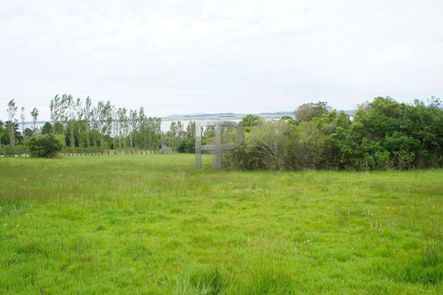 Imagen 3 de 10 de Campo En Venta Laguna Del Sauce 4 Hectáreas